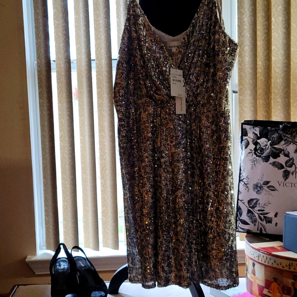 Sequined silver lined dress